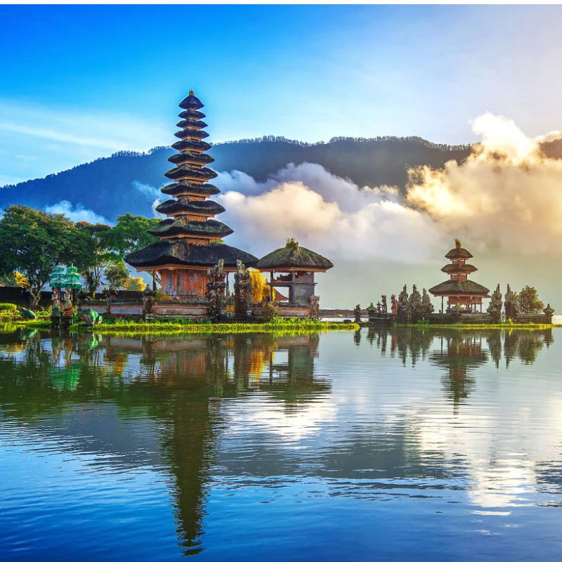 Bali Trip - 22 February - 8 March 2026 (Services To People Trip)