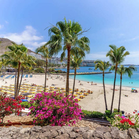 Gran Canaria - 8th-11th December 2025 (Travel & Tourism Trip)