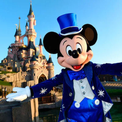Disneyland Paris - 26th-28th January 2026 (Health & Social Care Trip)